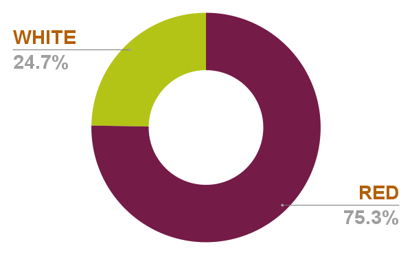 Chart 19